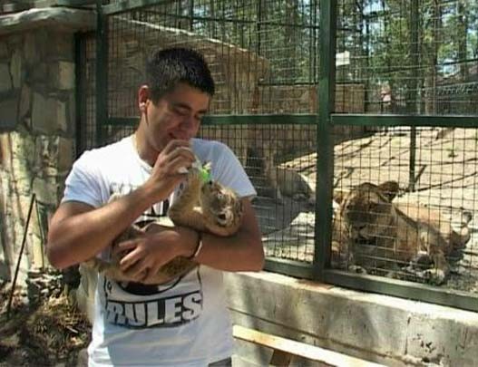 lavic4.jpg