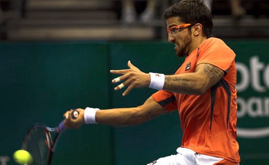 Janko Tipsarevic.jpg