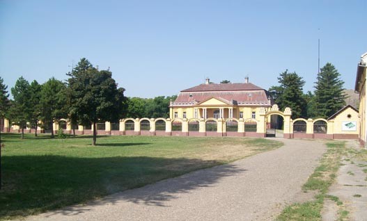 Dvorac Stratimirovic Dundjerski.jpg