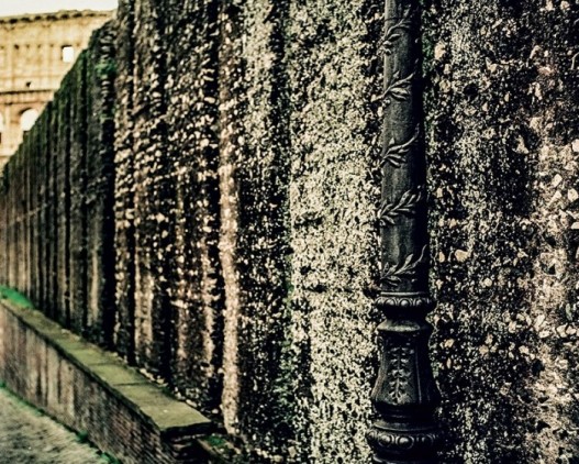 fotografija ivane tomanovic.jpg