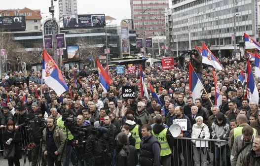 Dveri%20miting.JPG