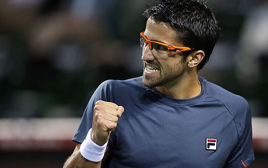 Janko-Tipsarevic-33.jpg