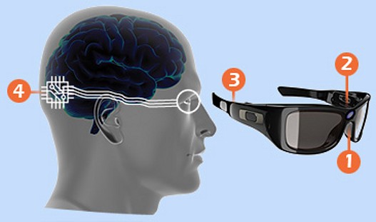 Funkcionisanje bionickih ociju.jpg Funkcionisanje bionickih ociju.jpg
