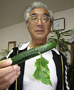japan.jpg japan.jpg