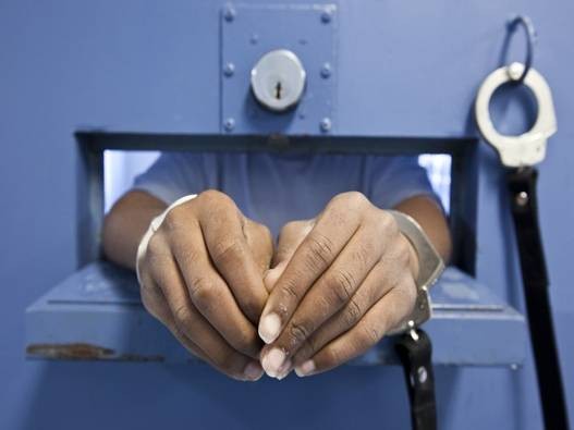 Ono sto se vidi a ne cuje.jpg