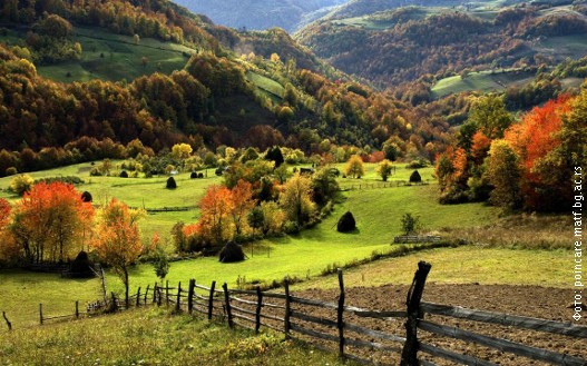 Zlatibor u jesen.jpg
