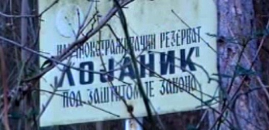 Okamenjena-suma.jpg Okamenjena-suma.jpg