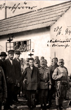 Princip-pred-Okruznim-zatvorom.jpg