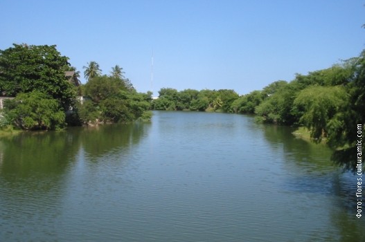 Amazonija 2.jpg Amazonija 2.jpg