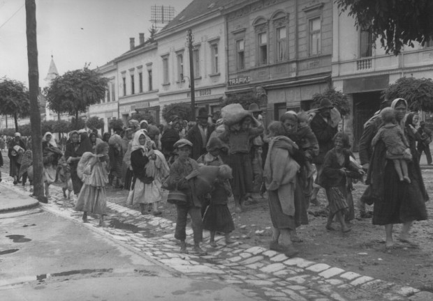 Прогон Срба из НДХ, Дарувар 1942. година