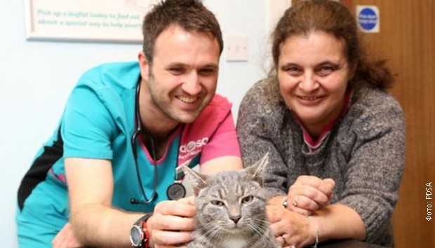 Mačak Bobi sa veterinarom i vlasnicom Lizom Kif Mačak Bobi sa veterinarom i vlasnicom Lizom Kif