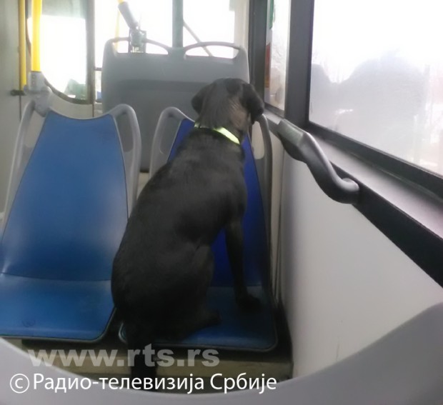 Putnik-sa-finim-mnirima.jpg