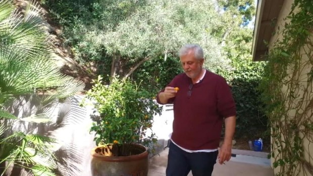 Predrag Gaga Antonijević Predrag Gaga Antonijević