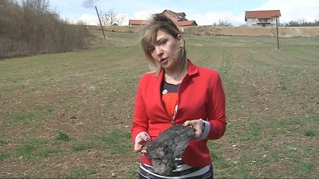 Рудно благо на осојанским њивама