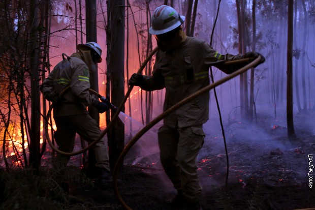 Portugalski vatrogasci pokušavaju da lokalizuju šumski požar