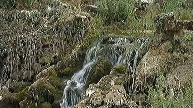 Suva planina Suva planina