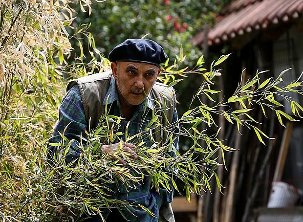 Пси лају, ветар носи, Рале Миленковић