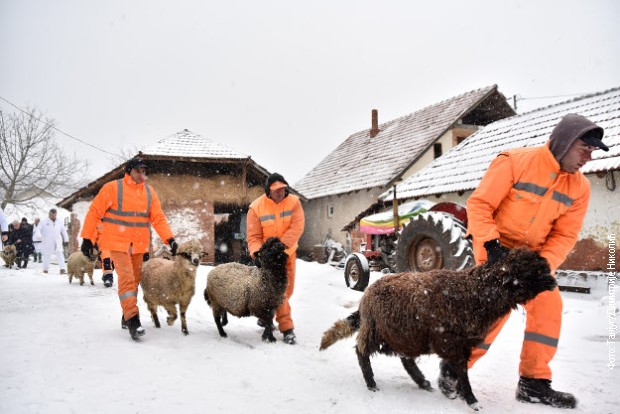 Evakuisan i stočni fond Evakuisan i stočni fond
