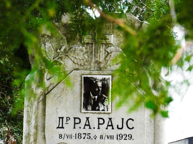 Spomen ploča u čast dr Arčibalda Rajsa na Topčideru Spomen ploča u čast dr Arčibalda Rajsa na Topčideru