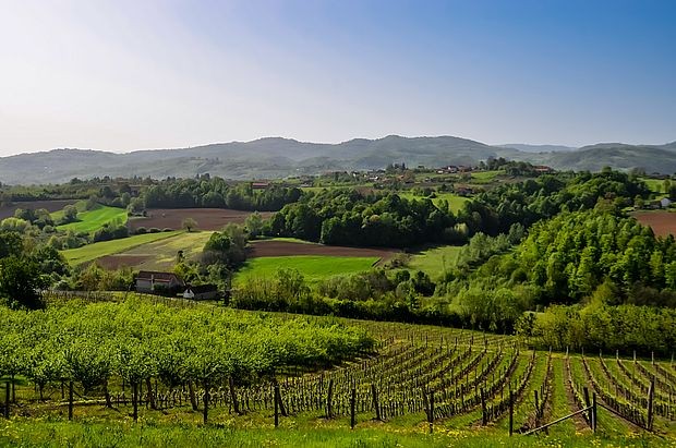 Voćnjaci i vinogradi u selu Rakari Voćnjaci i vinogradi u selu Rakari