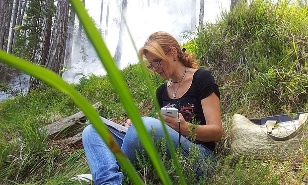 Ауторка Јелена Божовић Ауторка Јелена Божовић
