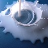 Договор о откупној цени млека 