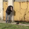 Искасапљен пас у Кикинди