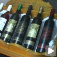 Најмлађи винар у Херцеговини