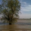 Седам жртава поплава у Румунији