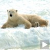 Еколози о заштити Арктика