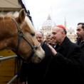 Благослов за животиње у Ватикану