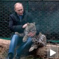 Путин, леопарди и екологија Сочија