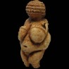 Вилендорфска Венера од моравског камена