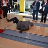 Градоначелник Сарајева поломио руку на отварању куглане