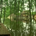 Поплављено село Прово