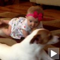 Куче показује беби како се пузи