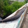 Мексичко село против џиновске змије