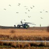 САД, јато гусака изазвало пад хеликоптера