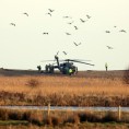 САД, јато гусака изазвало пад хеликоптера