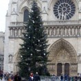 Москва даровала божићну јелку Паризу