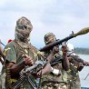 Камерун, убијено 116 припадника Боко Харама