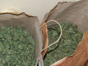 Заплењена два килограма марихуане у Београду