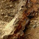 Палеонтолози настављају истраживање у Блацу