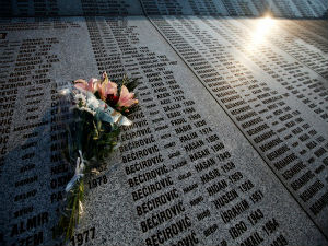 Јаковчић: Резолуција о Сребреници у јулу у ЕП
