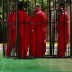 Нови снимак погубљења заробљеника Исламске државе 