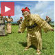 Бакице са Окинаве - поп атракција у Јапану!