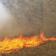 Шумски пожар у Куманову