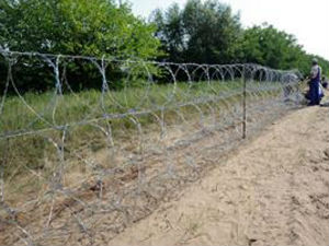 Илегални мигранти исекли ограду на граници са Мађарском