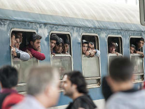 Возовима из Србије забрањен улазак у Мађарску
