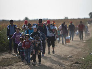Стефановић: Избегличка криза тиче се целе Европе